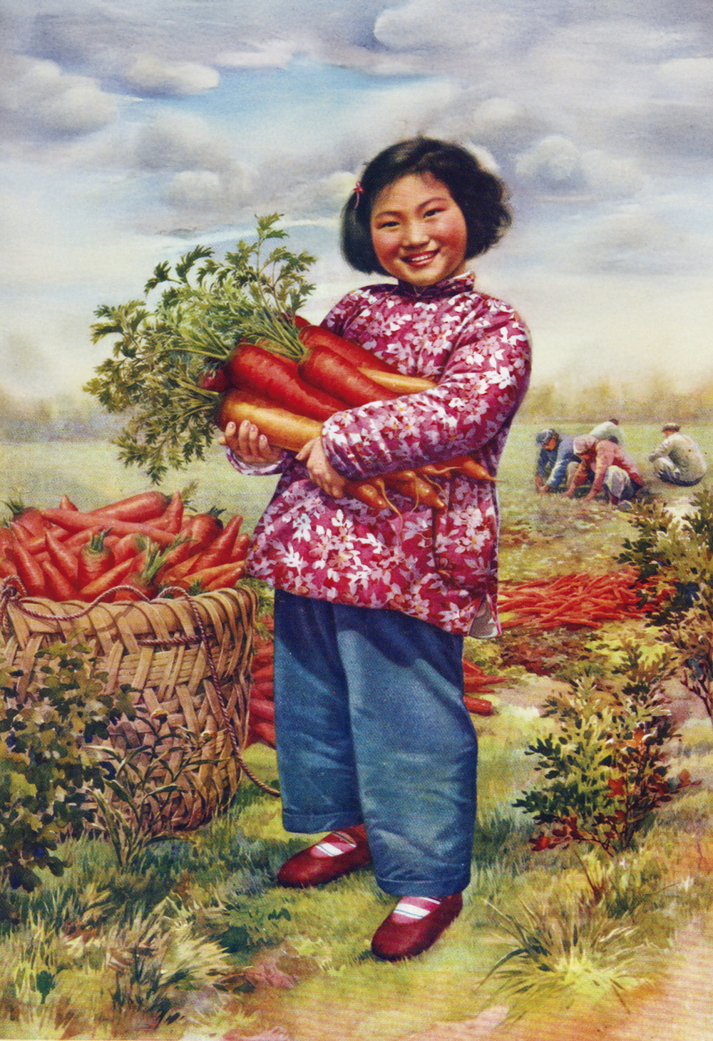 Detalhe Chinese Carrot Harvest
